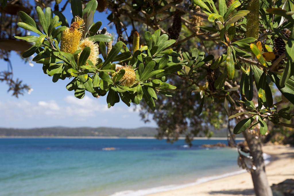 Ingenia Holidays Eden Beachfront Esterno foto